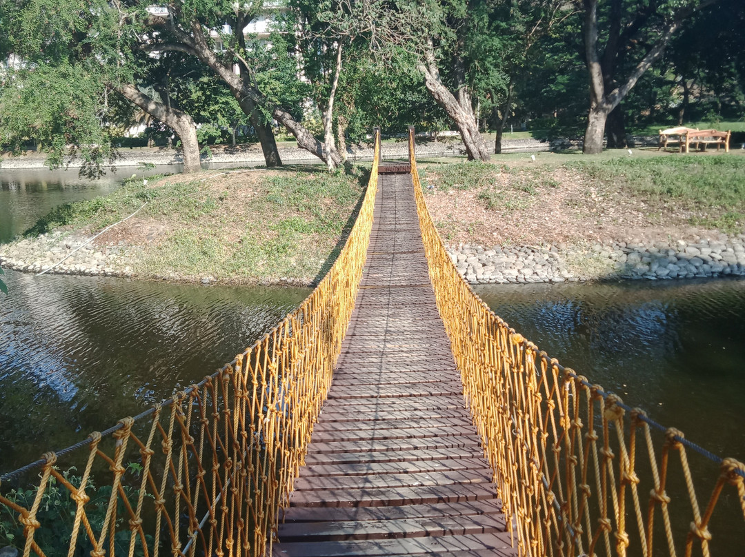 派克金沙酒店主图