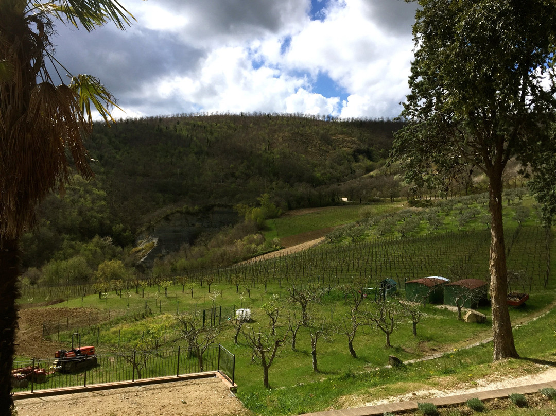 Agriturismo Colle Pu主图