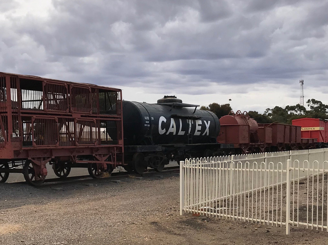 Lions' Train Park-Donald必去景点