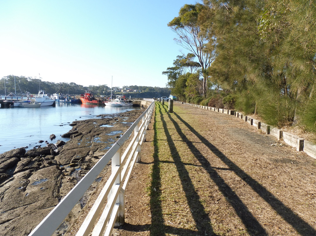 Gondwana Coast Fossil Walk景点图片