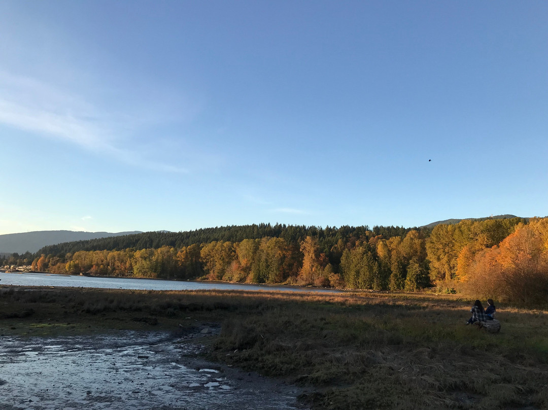 Old Orchard Park-穆迪港必去景点
