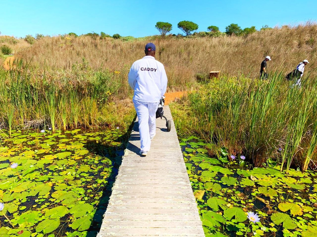 Mhala Tours-约翰内斯堡必去景点