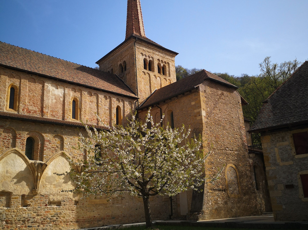 Klosterkirche Romainmotier景点图片