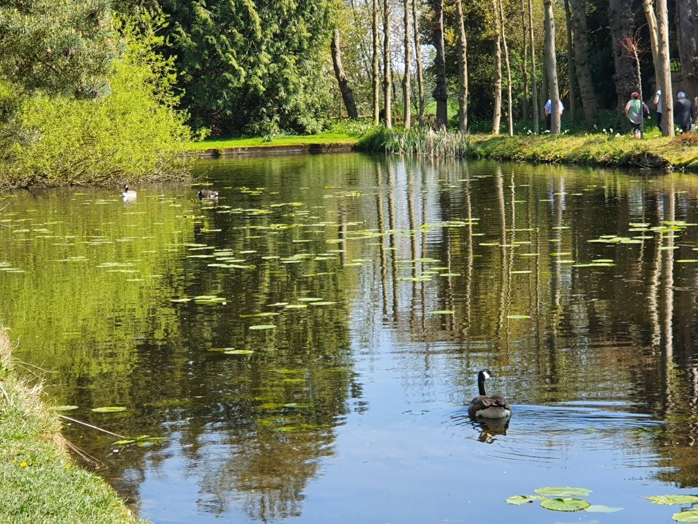 Ingatestone Hall景点图片