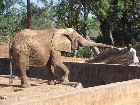 Avantgarde Tours-拉哥斯必去景点