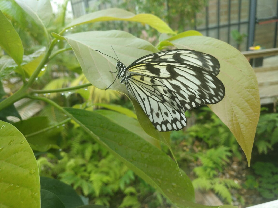 Parque Ambiental de Santa Margarida景点图片