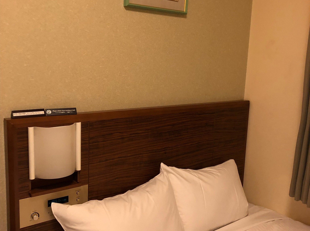 Sotetsu Fresa Inn Fujisawa Shonandai主图