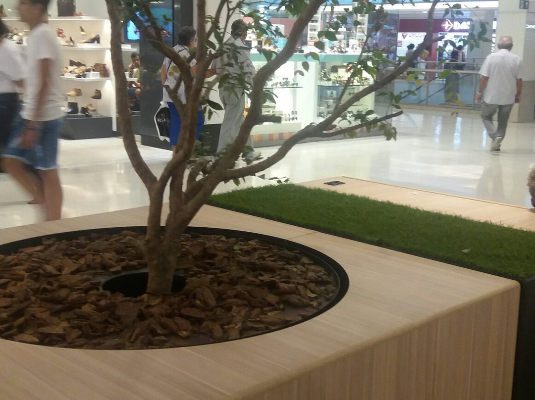 Shopping Recife-累西腓必去景点