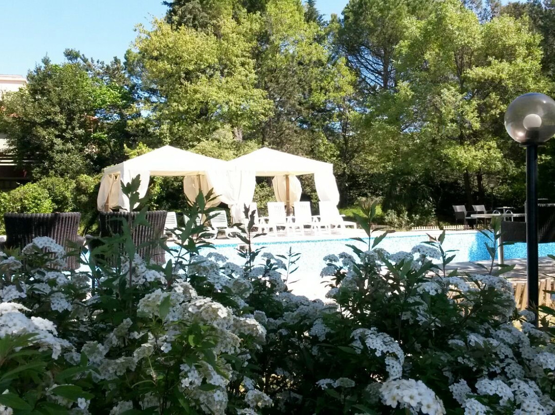 Hotel Ristorante Sole主图