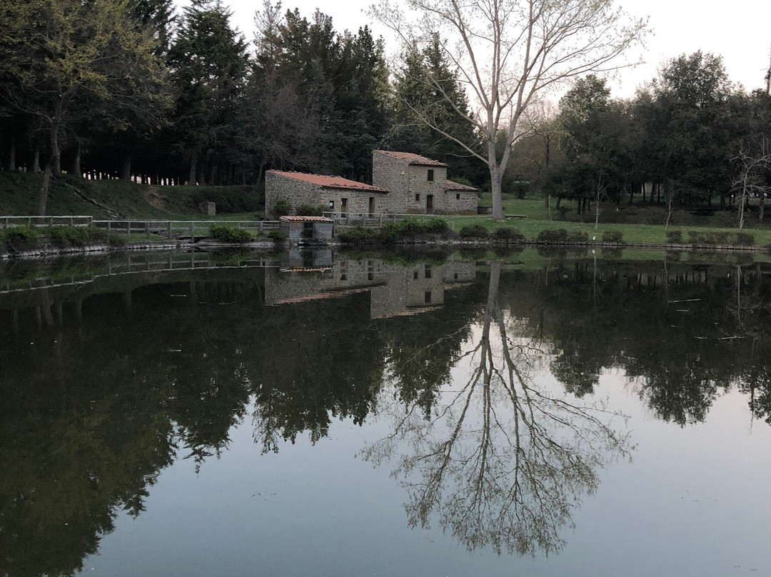 Parco Ecologico di Piano Collura-Castell'Umberto必去景点
