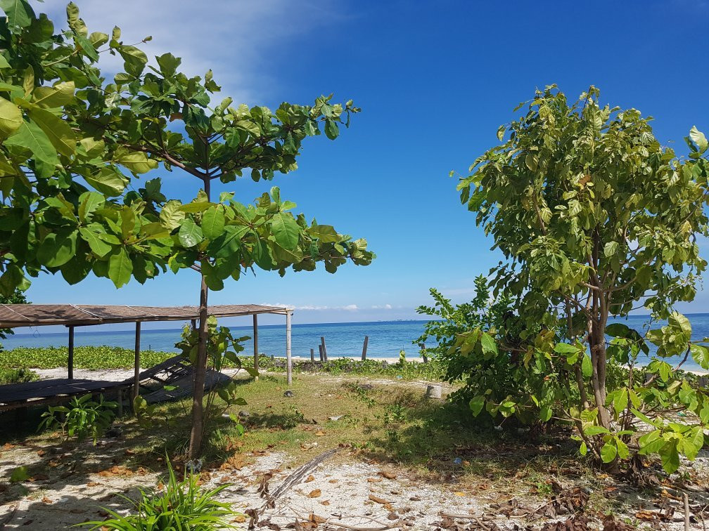 Pulau Samalona景点图片