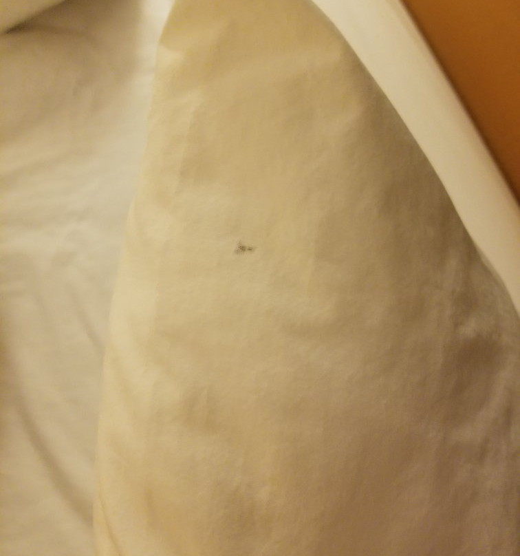 Super 8 by Wyndham Topeka at Forbes Landing主图