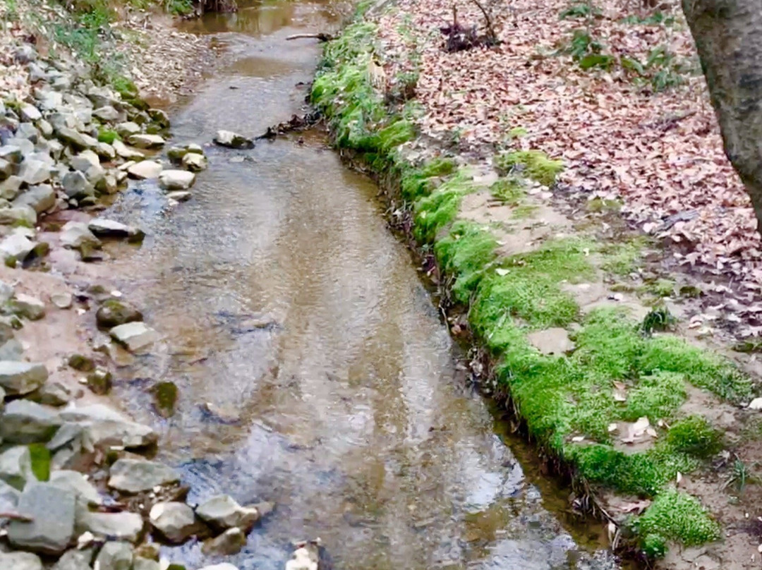 W.P. Jones Park-杜鲁斯必去景点
