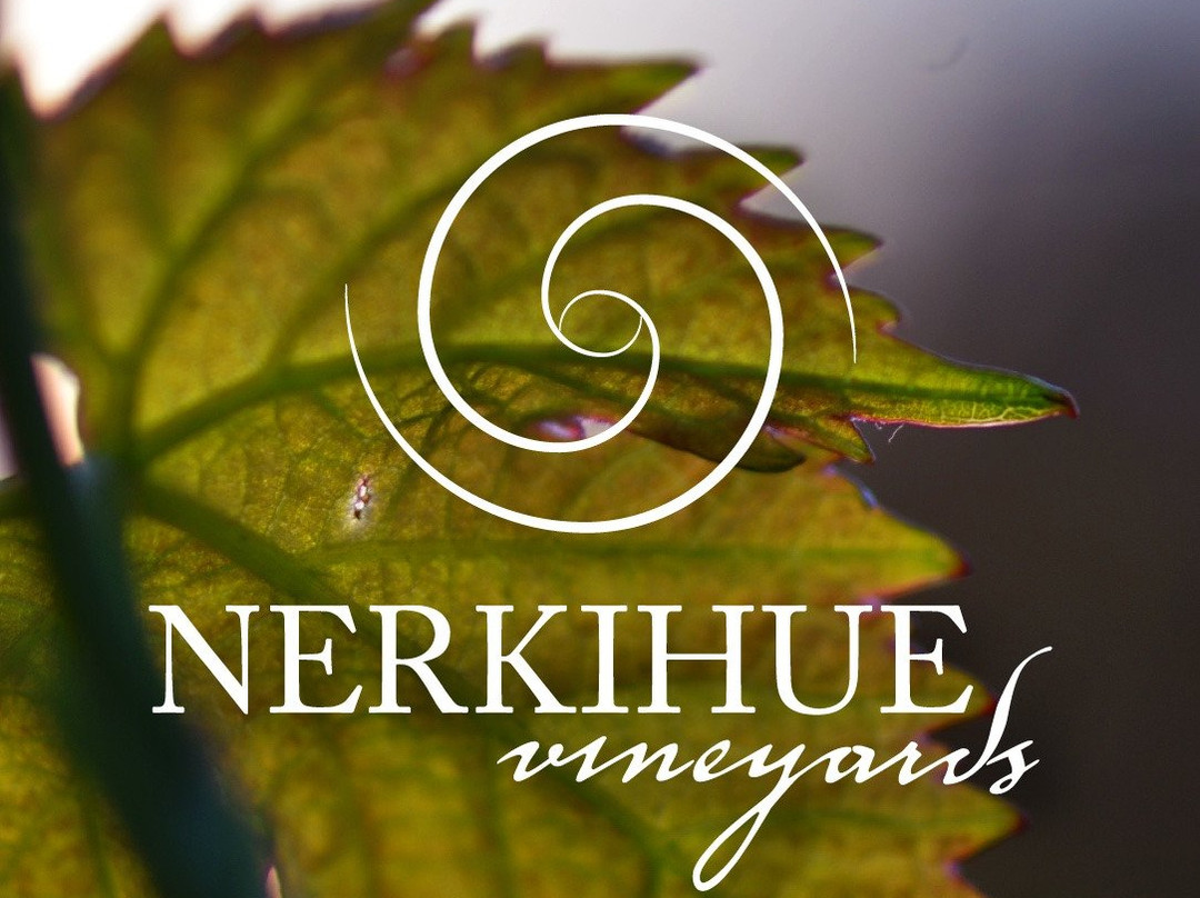 Nerkihue-Lolol必去景点