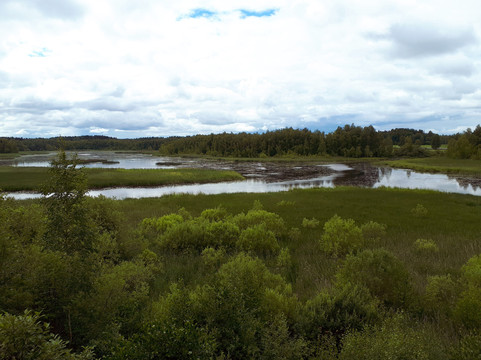 Lake Vallonjarvi - Guided nature path-Valkeakoski必去景点