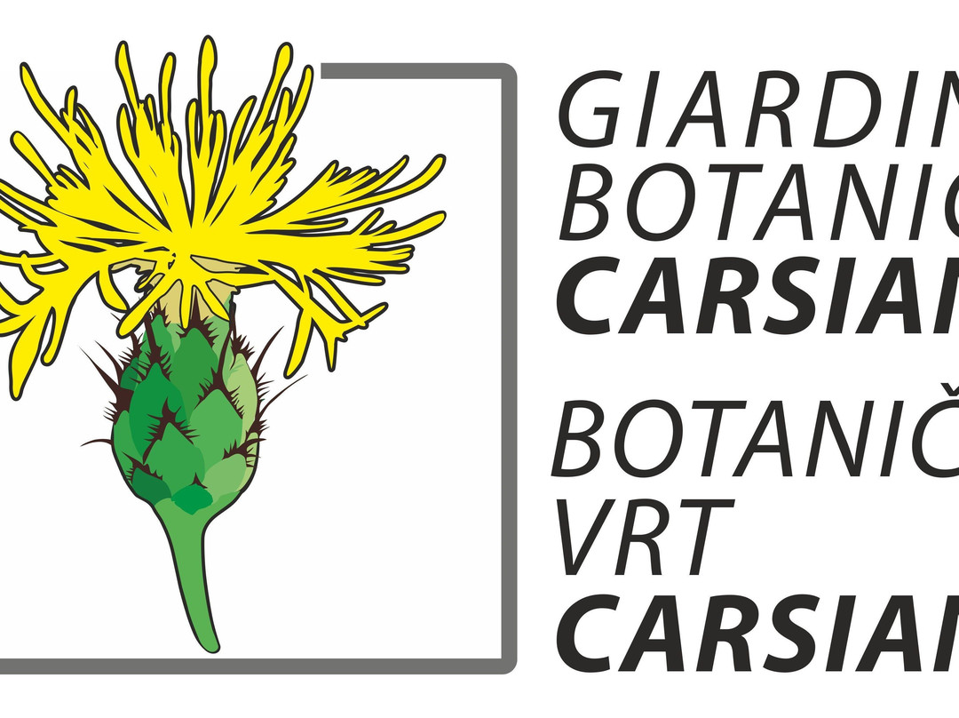 Giardino botanico Carsiana景点图片