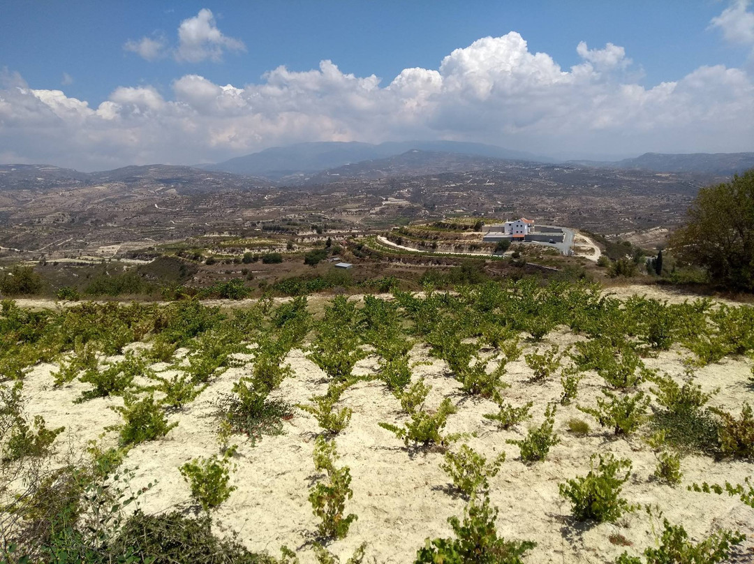 Monolithos Winery景点图片