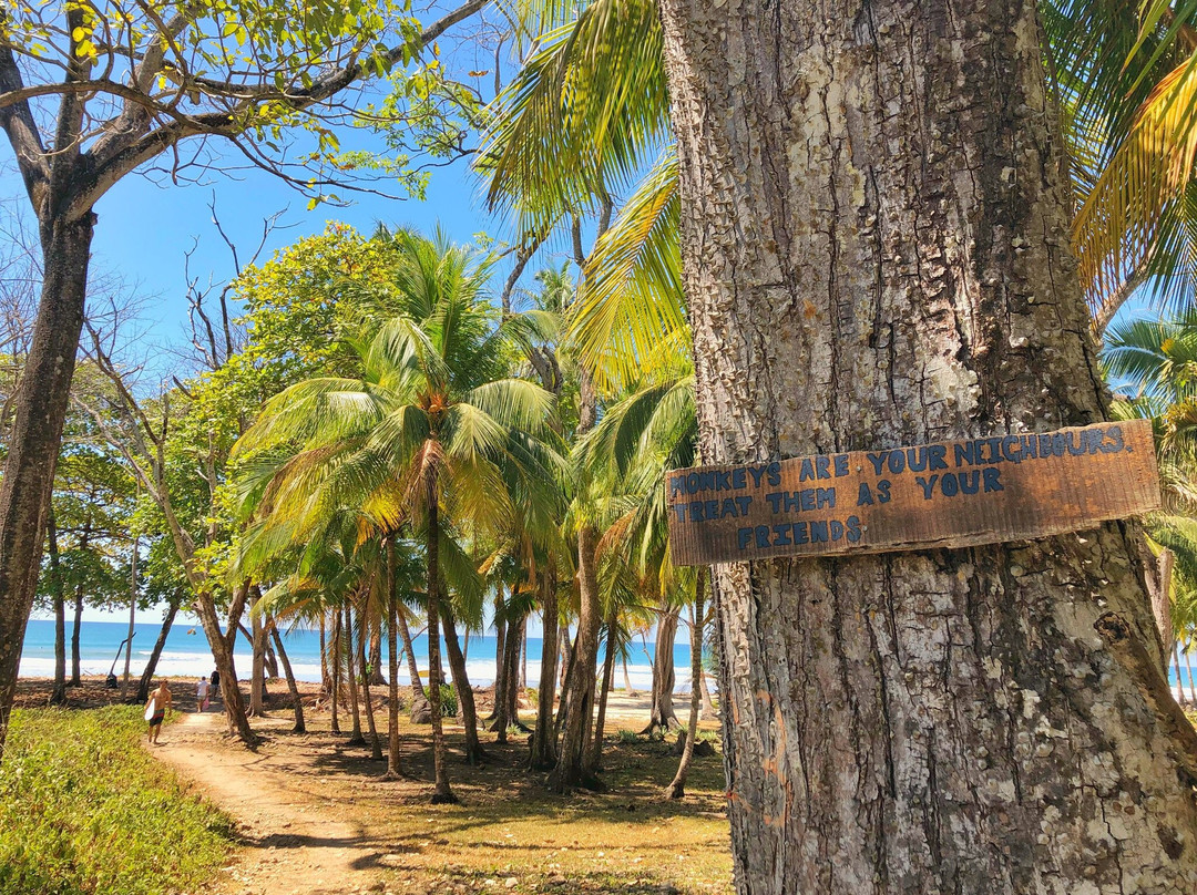 Playa Carmen景点图片