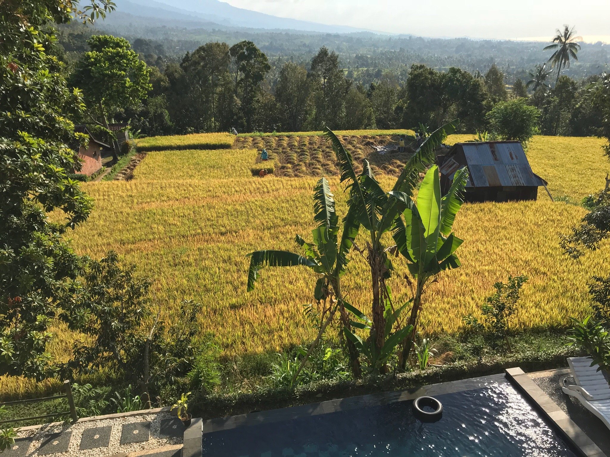 Mandhasativa Homestay-官方
