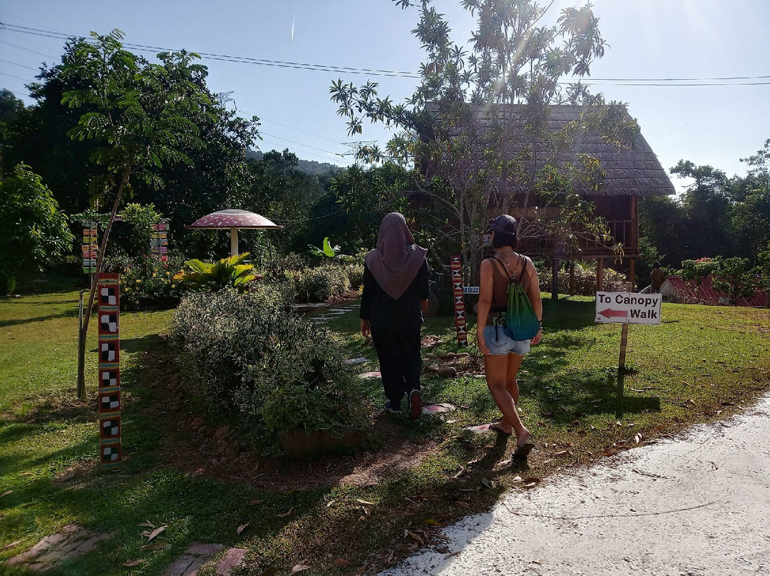 Borneo Ant House-斗亚兰必去景点