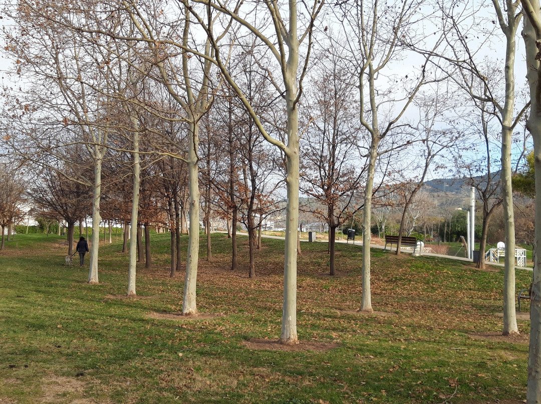Parc del Llobregat景点图片
