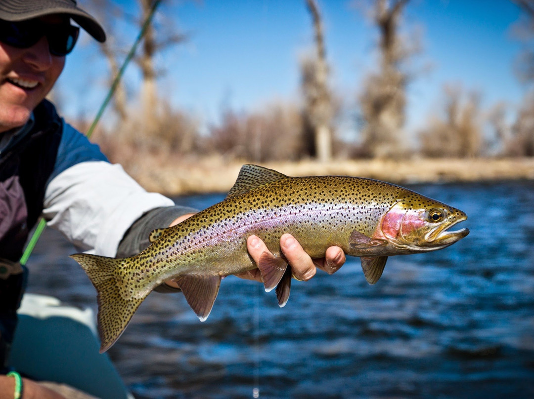 Trout Stalkers - Outfitter & Fly Shop景点图片