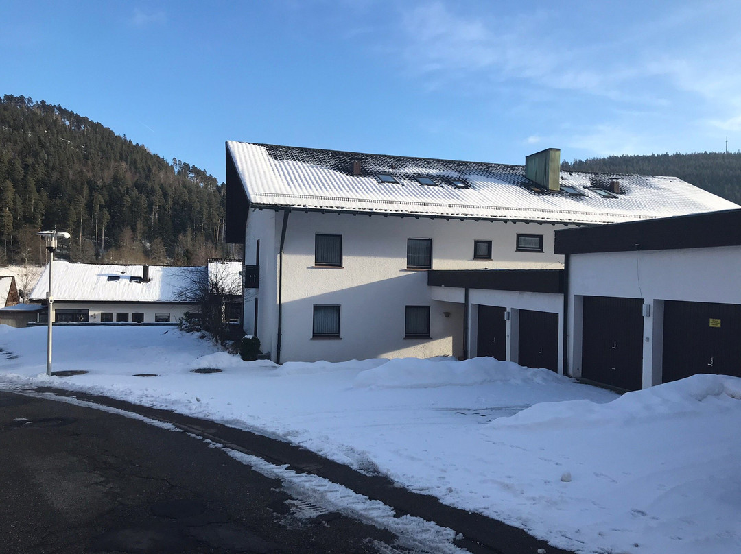 Schwarzwald Schaefer主图