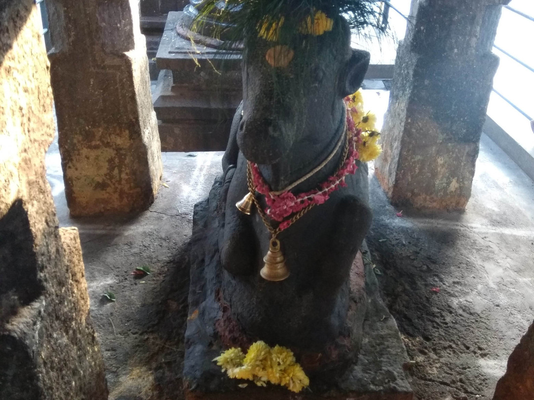 Sri Nageswarar temple-金奈（马德拉斯）必去景点