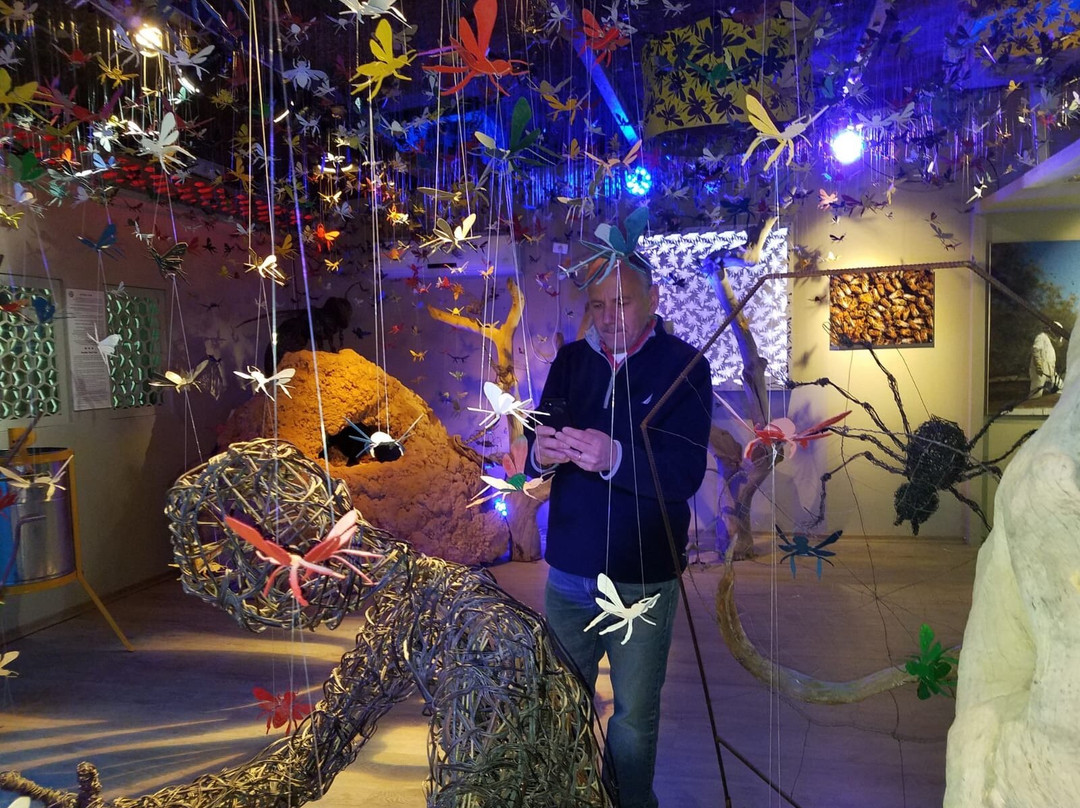 Ein Yahav旅游景点-Porat Ein Yahav