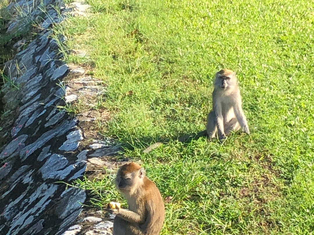 Templer Park Golf & Country Club-万挠必去景点
