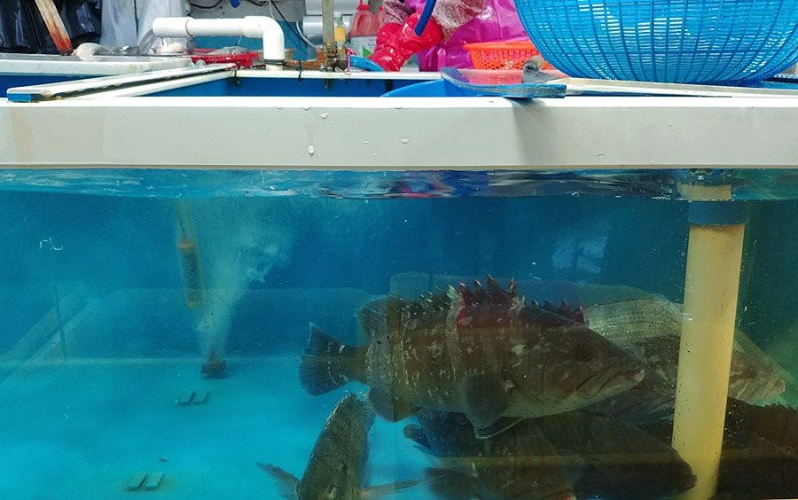 Sam Suhyup-泗川市必去景点