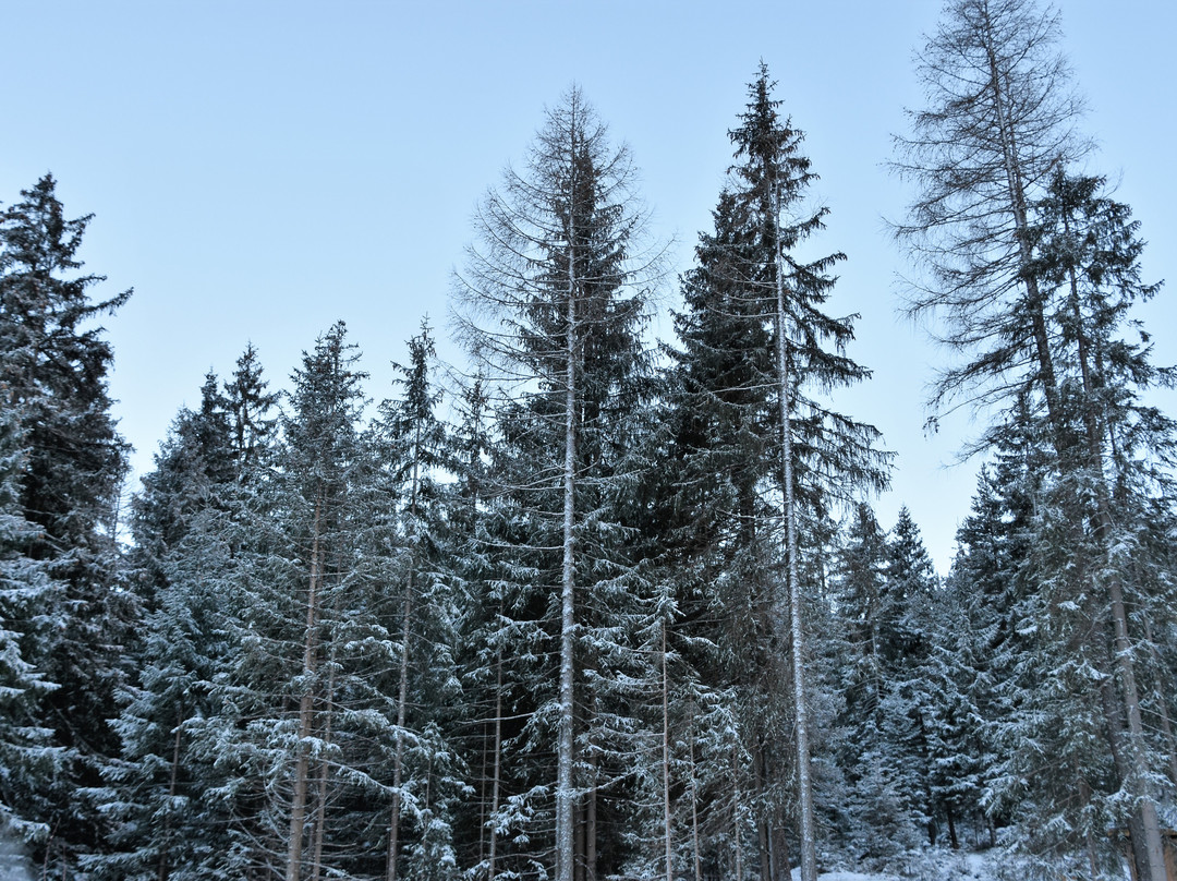 克丽斯塔罗酒店主图