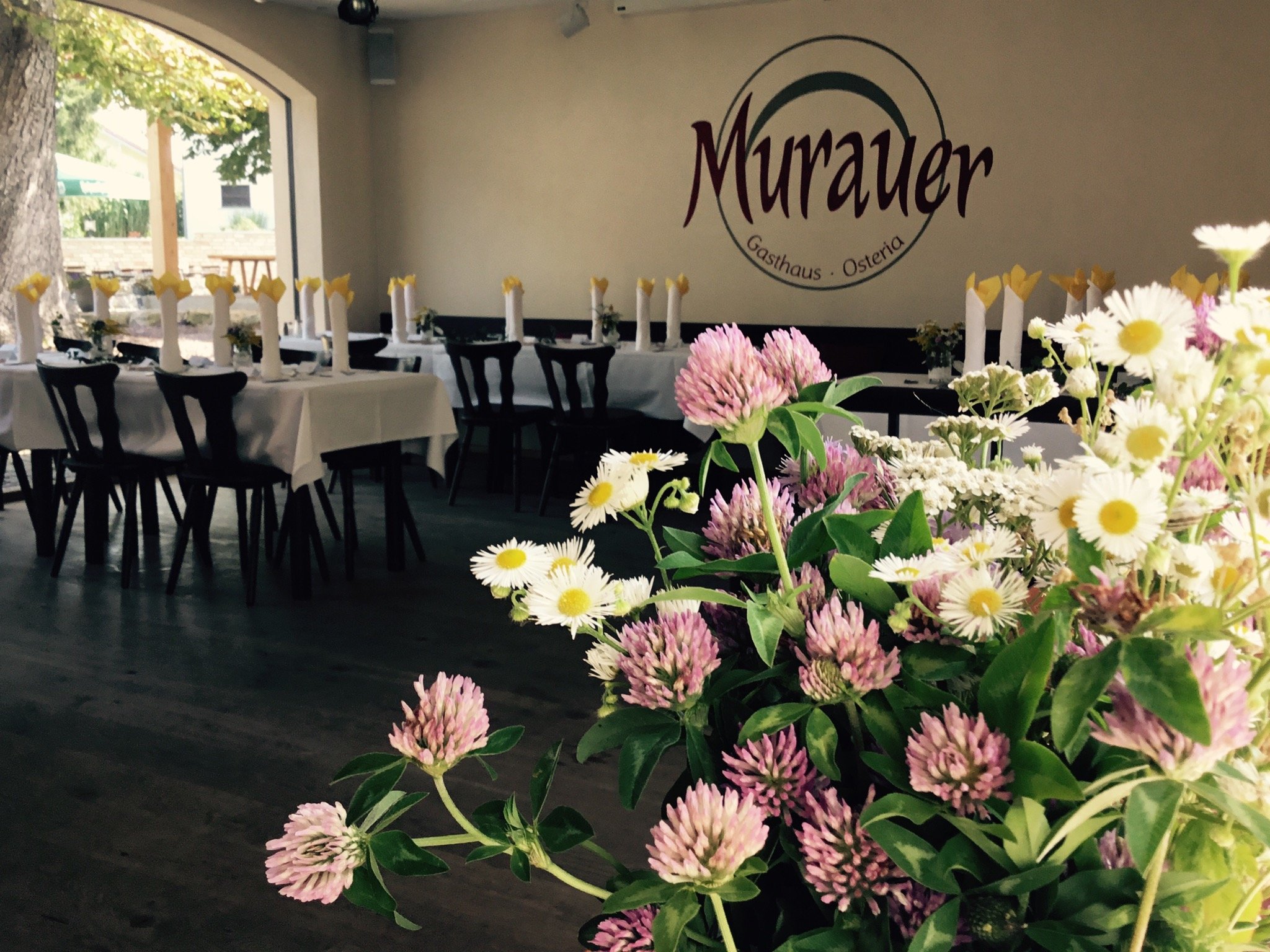 Murauer Gasthaus Osteria-餐饮