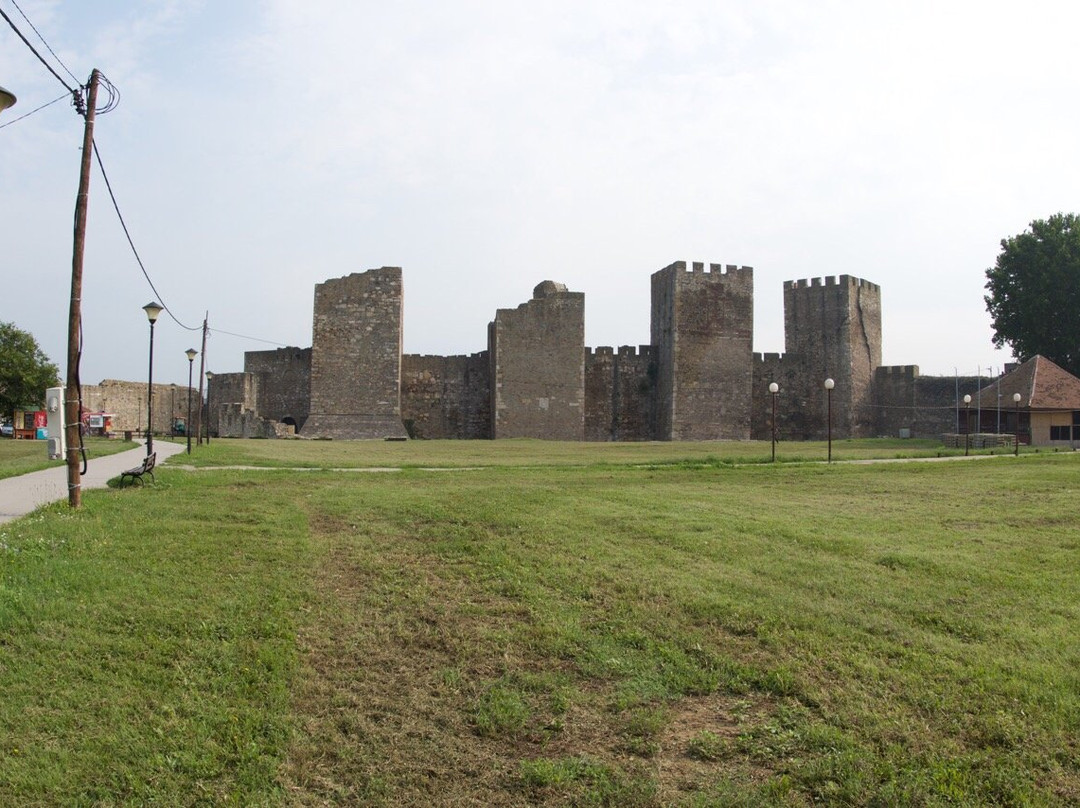 Smederevo Fortress景点图片