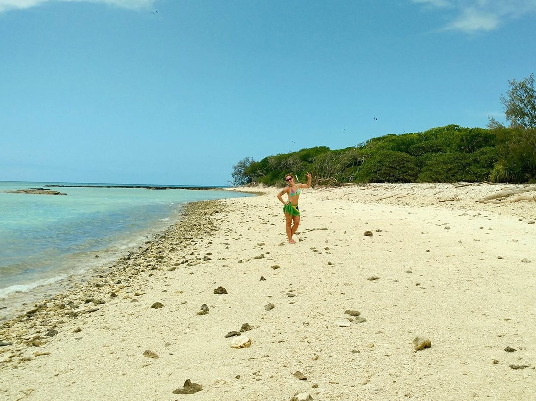 Capricornia Cays National Park-Gladstone必去景点