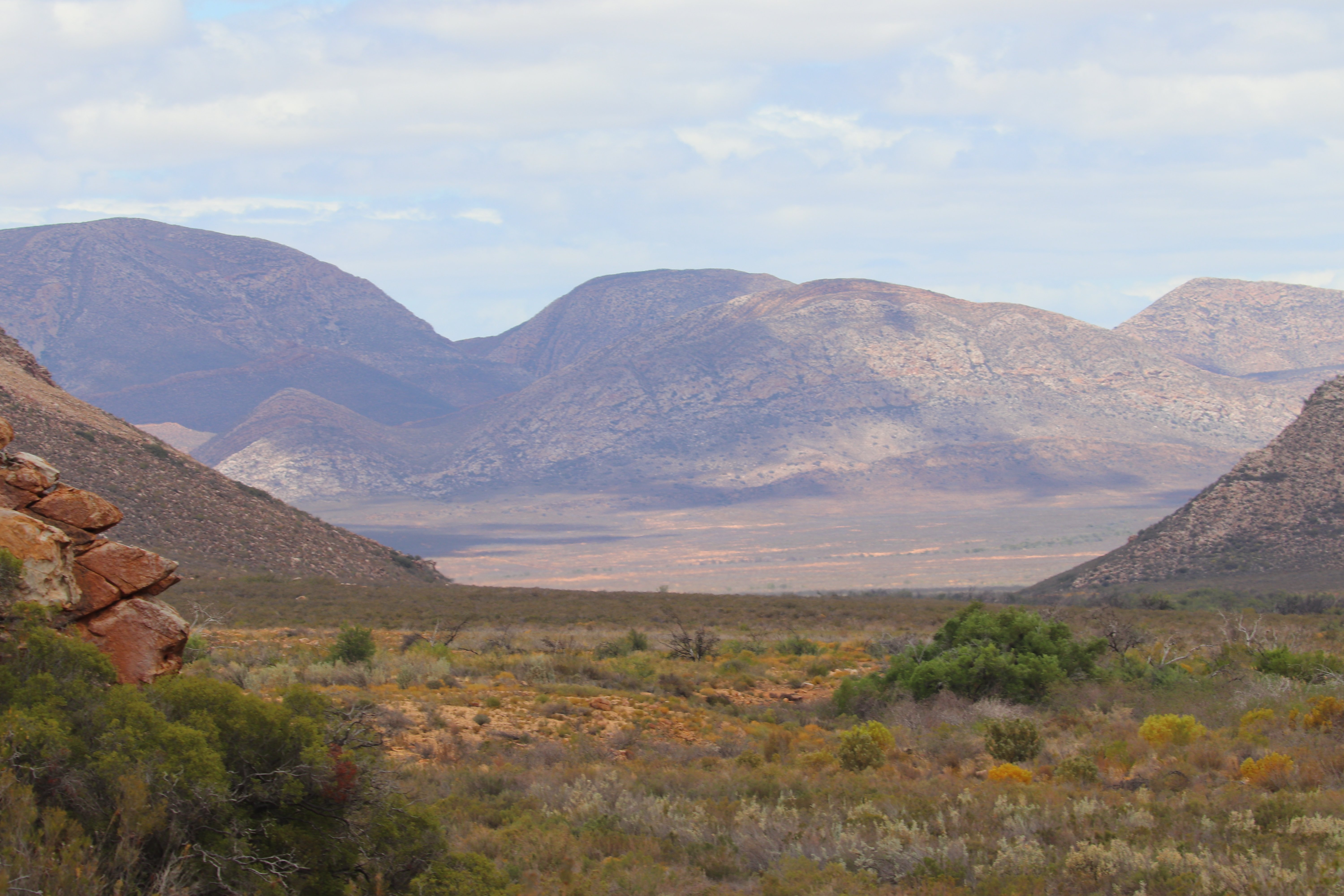 Witteberg Nature Reserve-官方