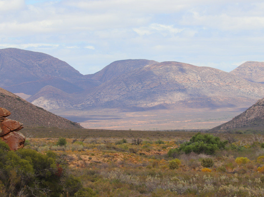 Laingsburg酒店住宿-Witteberg Nature Reserve