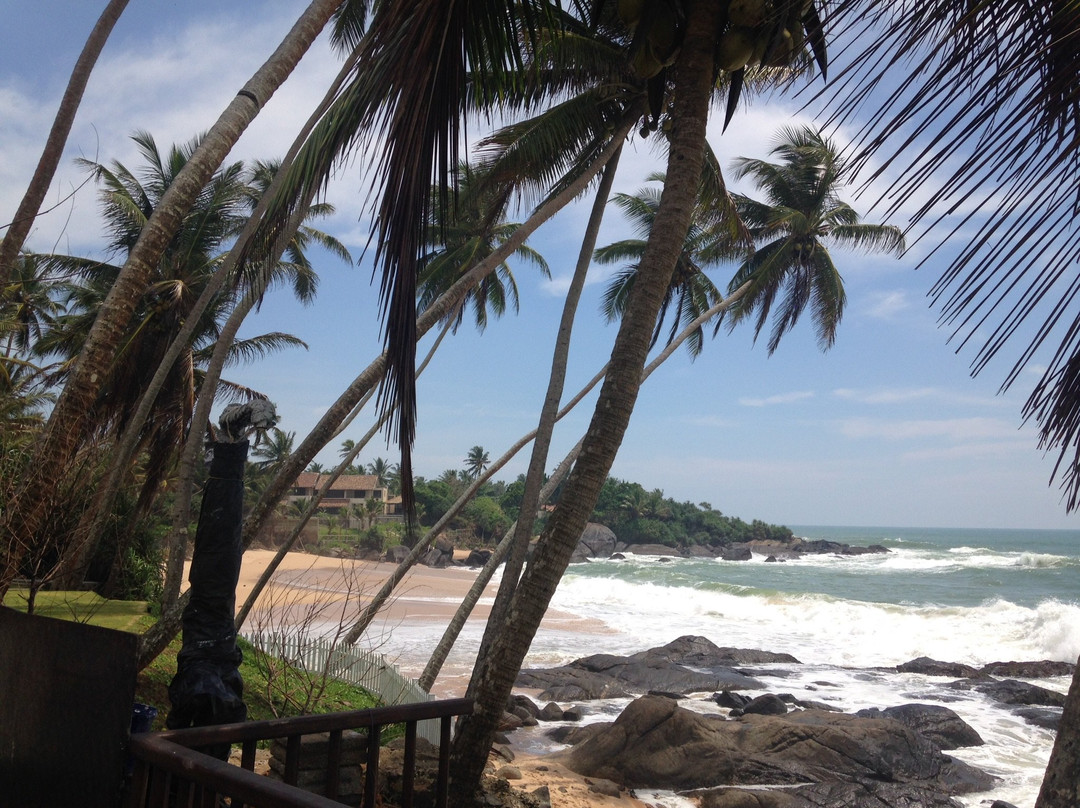 Michelle Beach Hotel主图