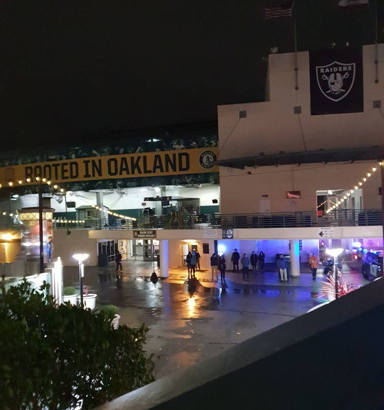 甲骨文球馆-奥克兰必去景点