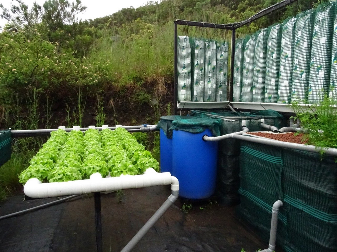 La Miellerie de Marla主图