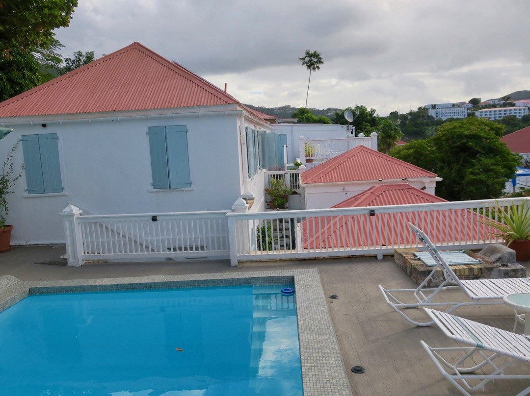 At Home In The Tropics主图