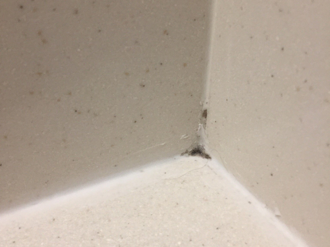 Comfort Inn & Suites主图