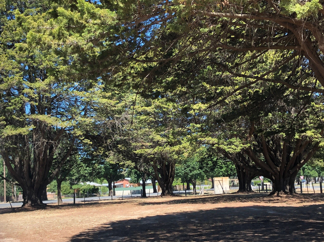 Great Western Memorial Park景点图片