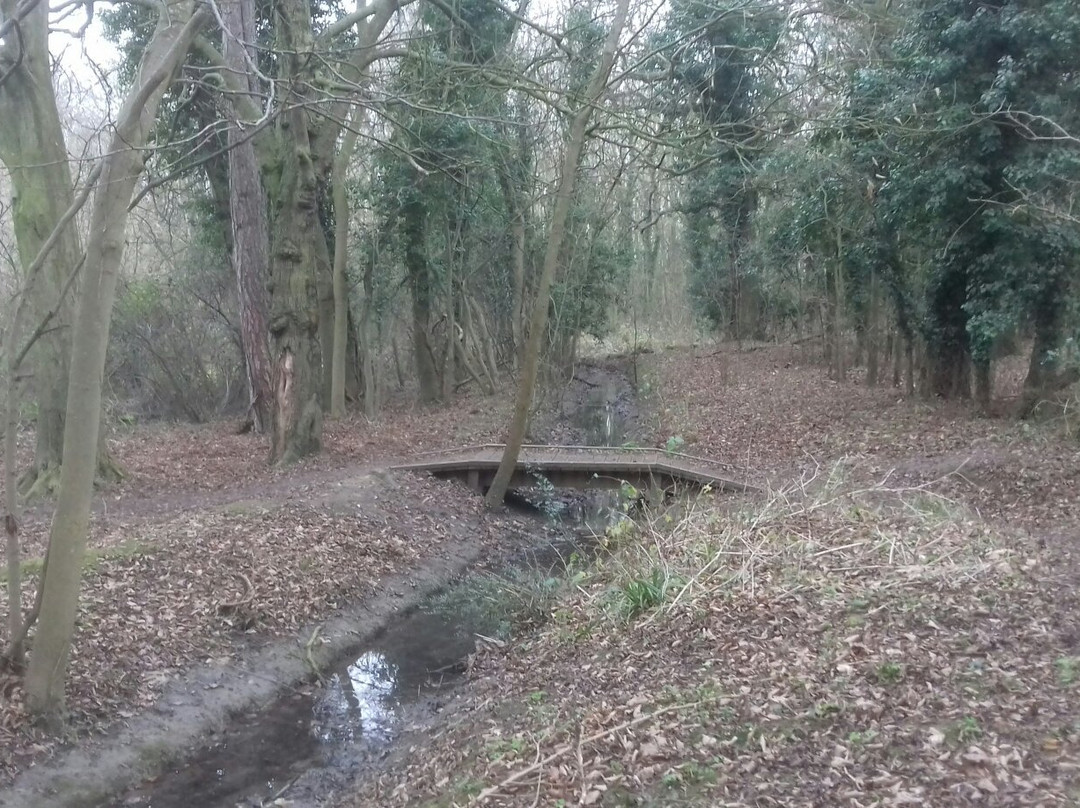 Park Wood Nature Reserve景点图片