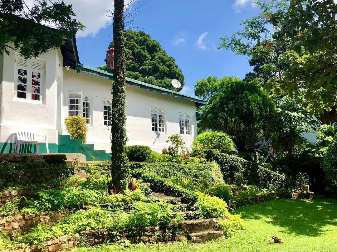 Gammaduwa Bungalow主图