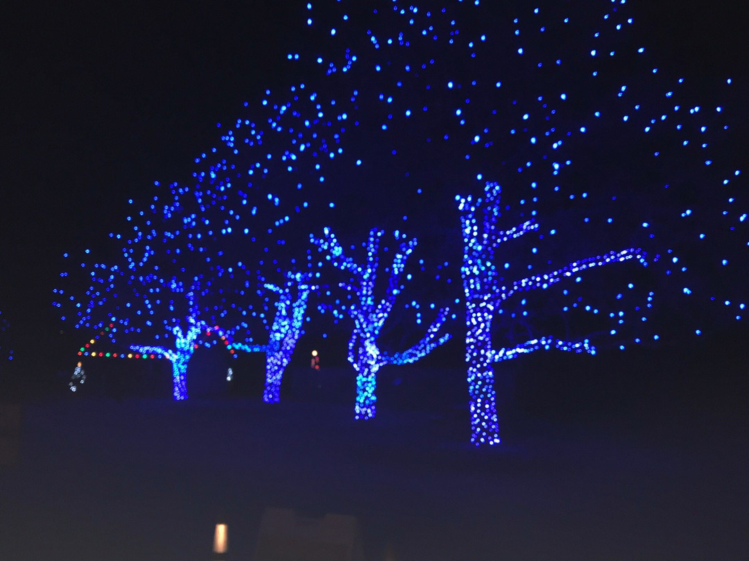 Denver Botanic Gardens at Chatfield Farms景点图片