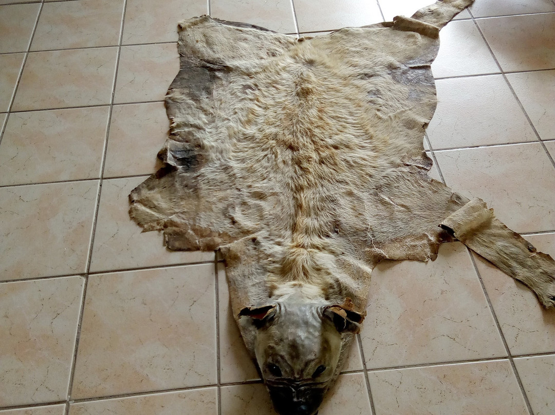 Kotwa旅游攻略图片