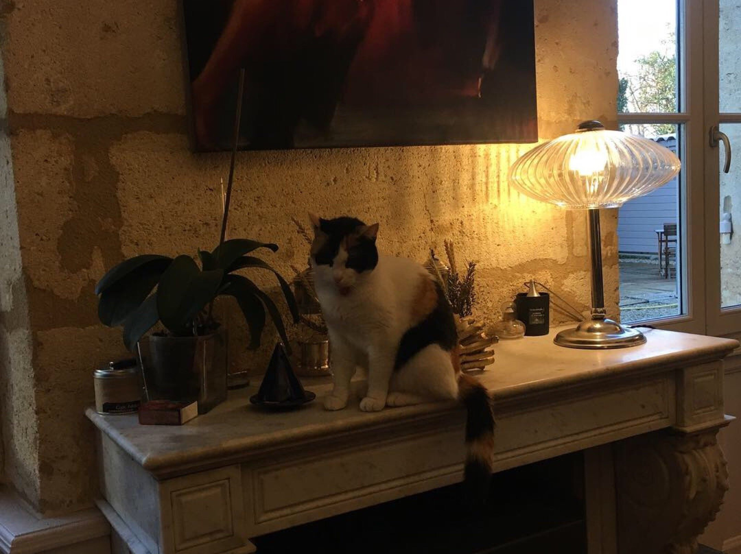 La Porte Bleue au 31主图