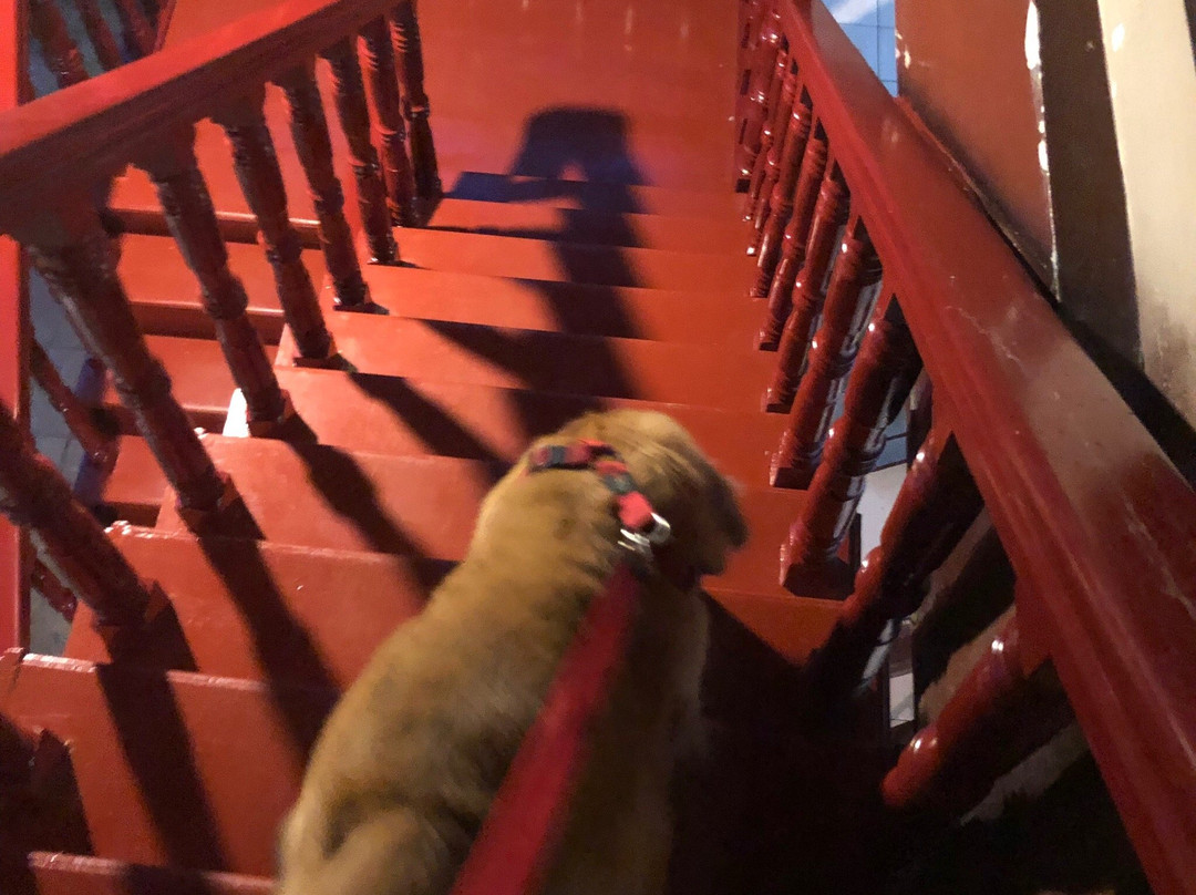 Marem Pension House主图