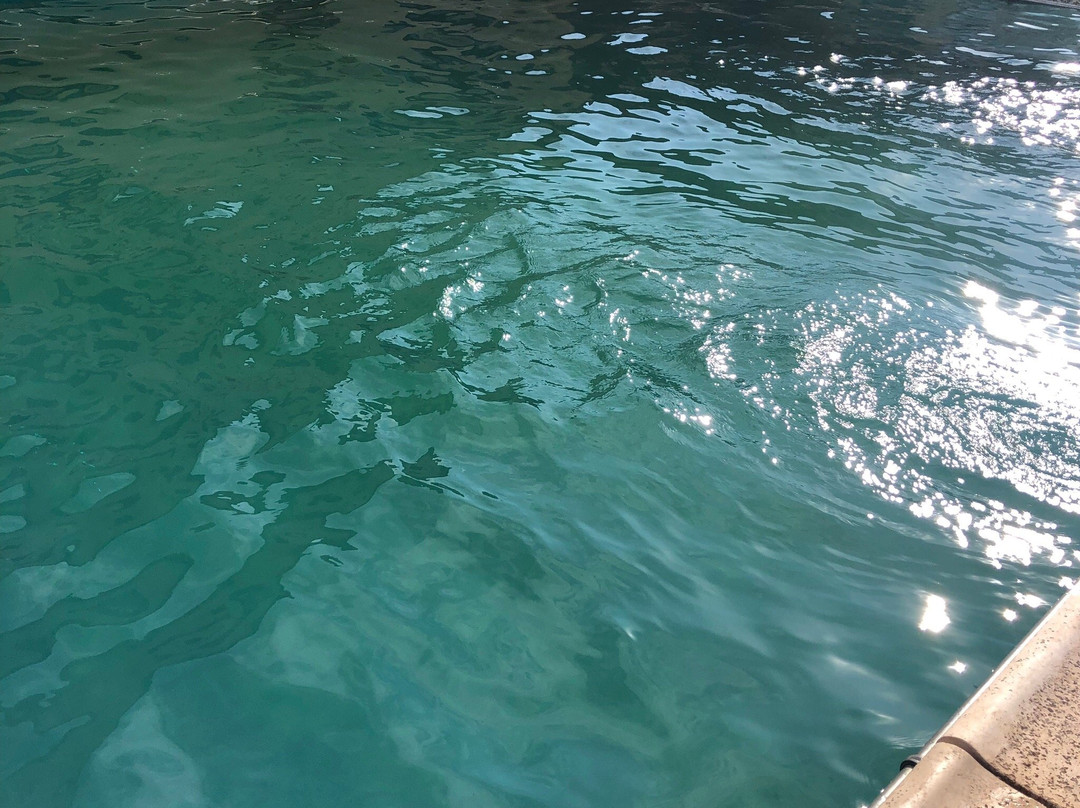 Howard Johnson Hotel Rinconada de Los Andes主图